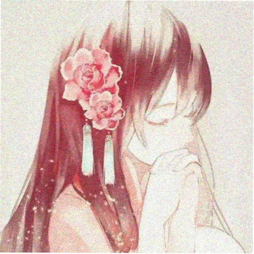 观众帧速率头像